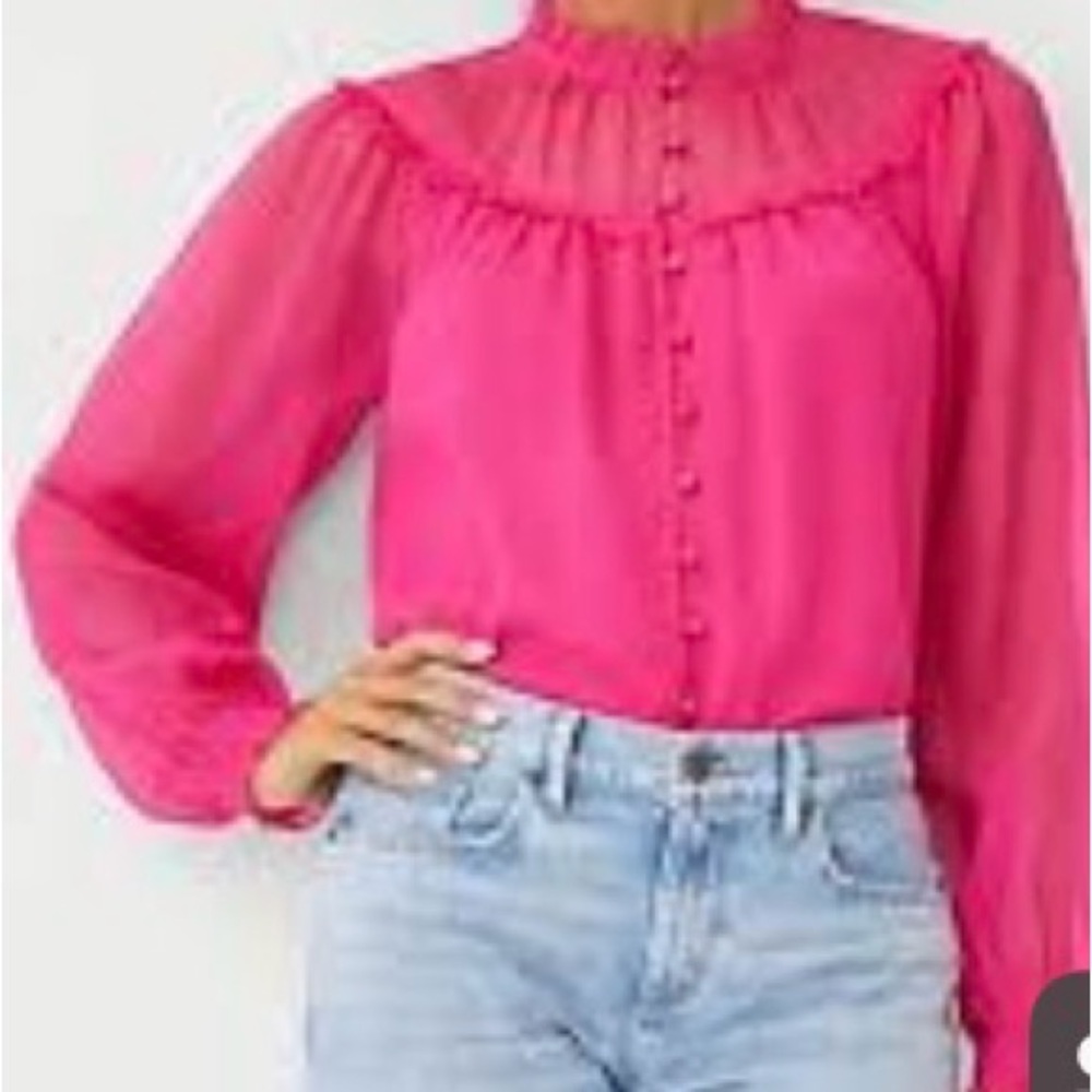 Ann Taylor Hot Pink Ruffled Sheer Yoke Blouse